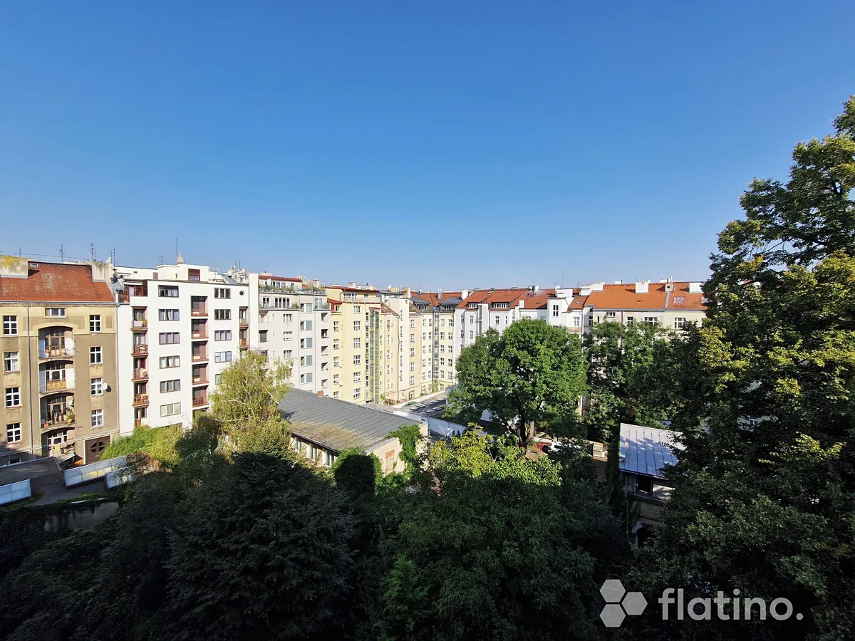 Fotka 15 z 19